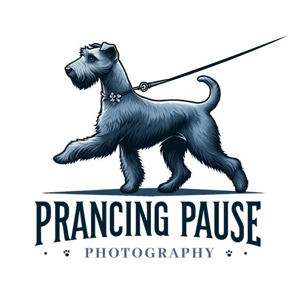 PrancingPause_Logo_03_03_square